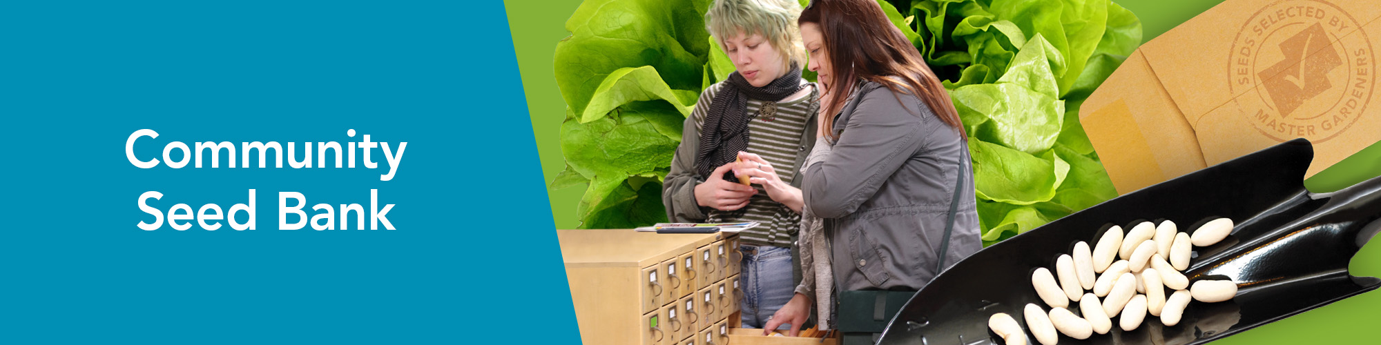 DESIGN-HEADER-banner-seedbank (1)